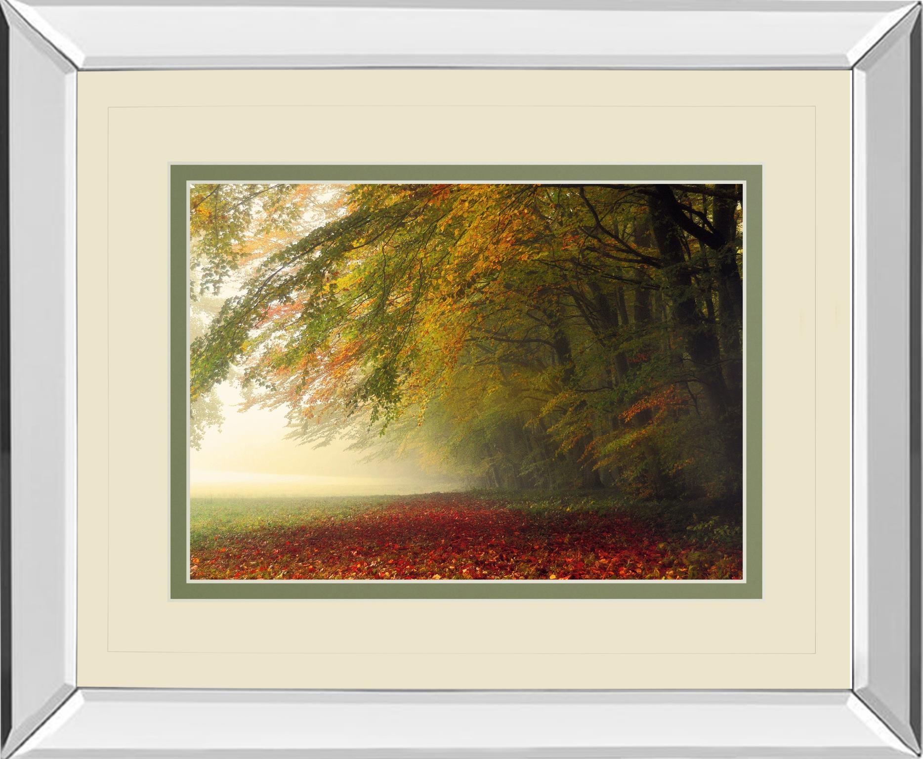 Mirrored Frame Your Beauty Silences Me By Irene Weisz 34X40 Mirror Frame Print