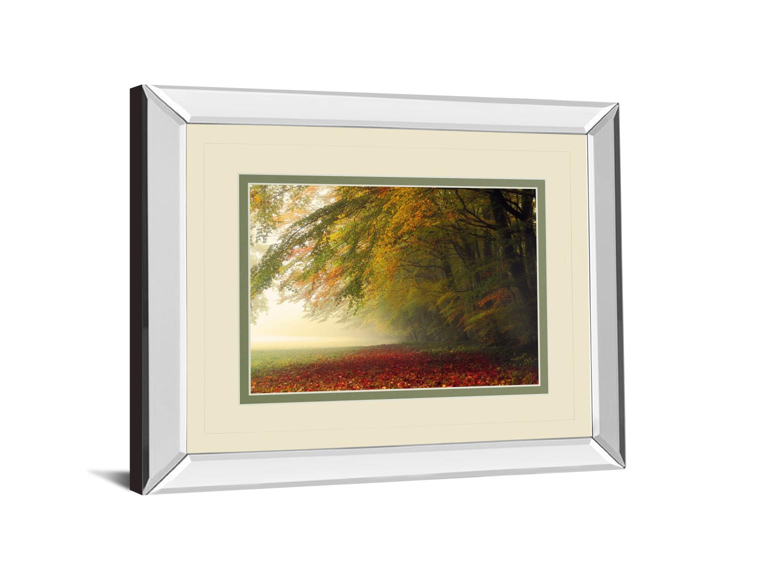 Mirrored Frame Your Beauty Silences Me By Irene Weisz 34X40 Mirror Frame Print