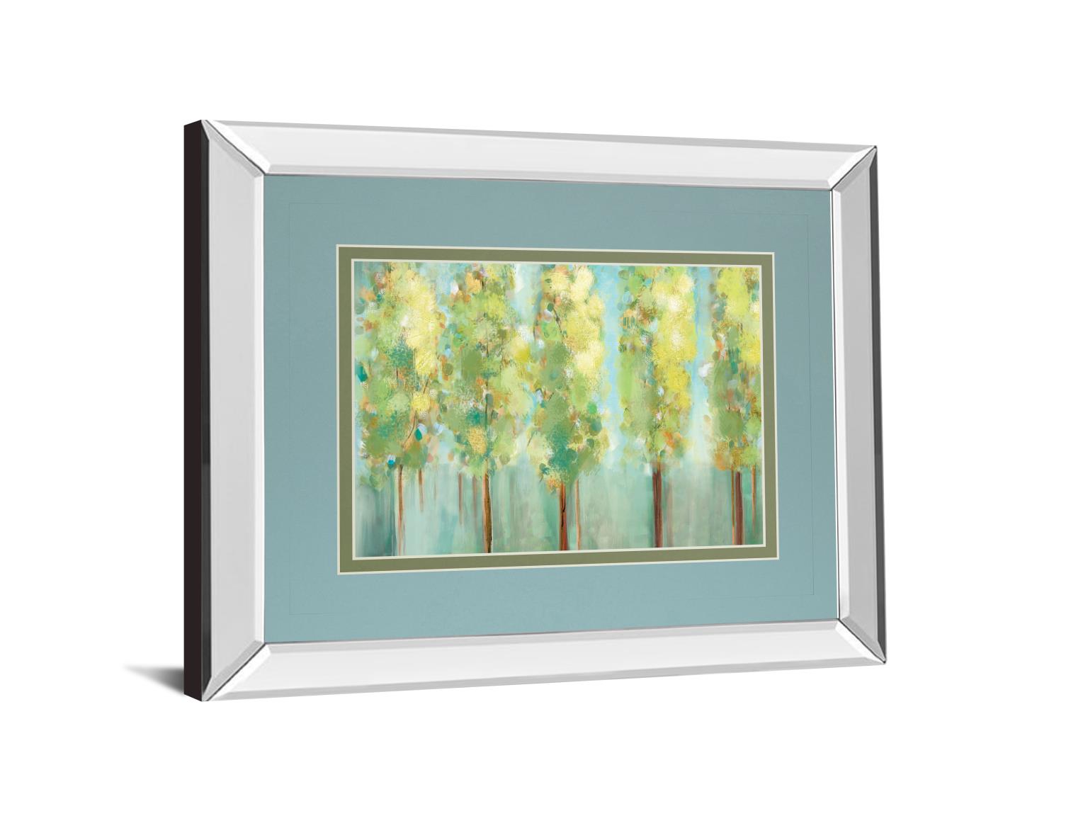 Mirrored Frame Turnwood By Susan Jill 34X40 Mirror Frame Print