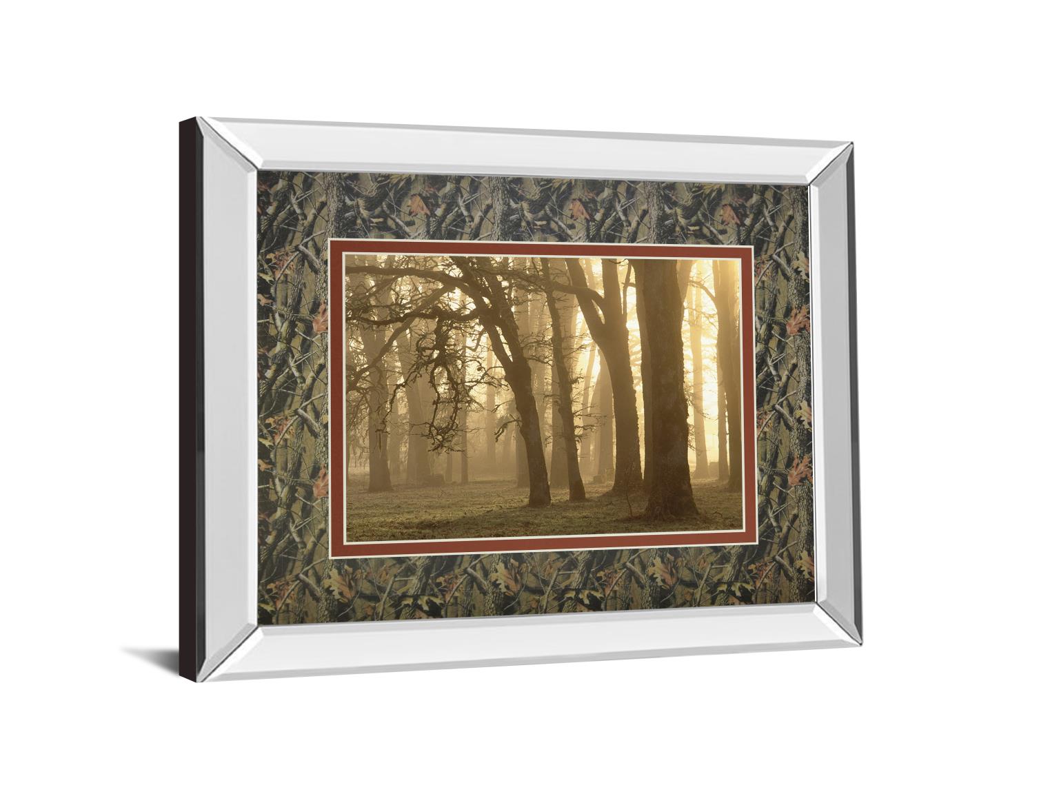 Mirrored Frame Woodland Sweep By Dennis Frate 34X40 Mirror Frame Print
