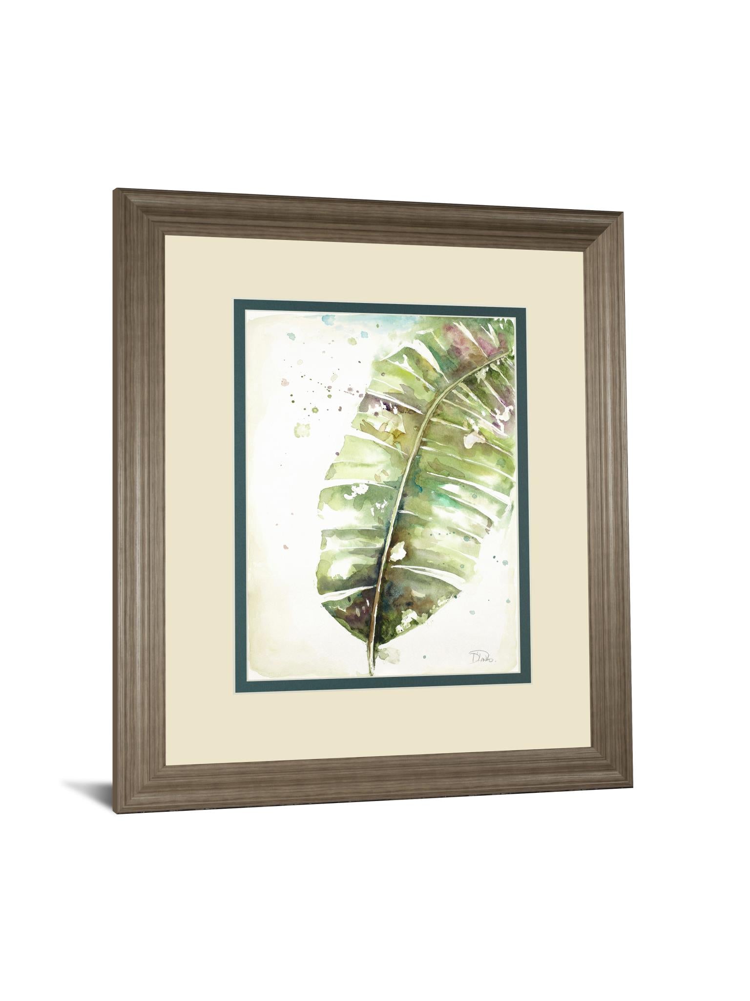 Watercolor Plantain Leaves Ii By Patricia Pinto 34X40 Framed Print