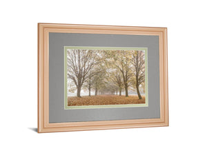 Autum'S Peace By Frank A 34X40 Framed Print