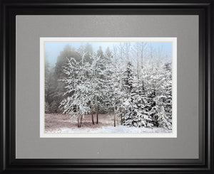 Frosty Morning By Mike Jone 34X40 Framed Print