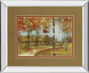Autumn Path By Carmen Dolce 34X40 Mirror Frame Print