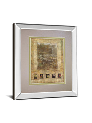 Botany Journal I By Kemp 34X40 Mirror Frame Print