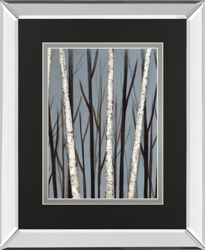 Birch Shadows By Eve 34X40 Mirror Frame Print