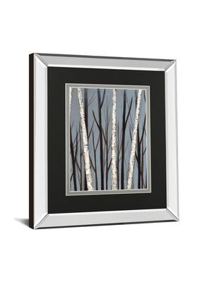 Birch Shadows By Eve 34X40 Mirror Frame Print