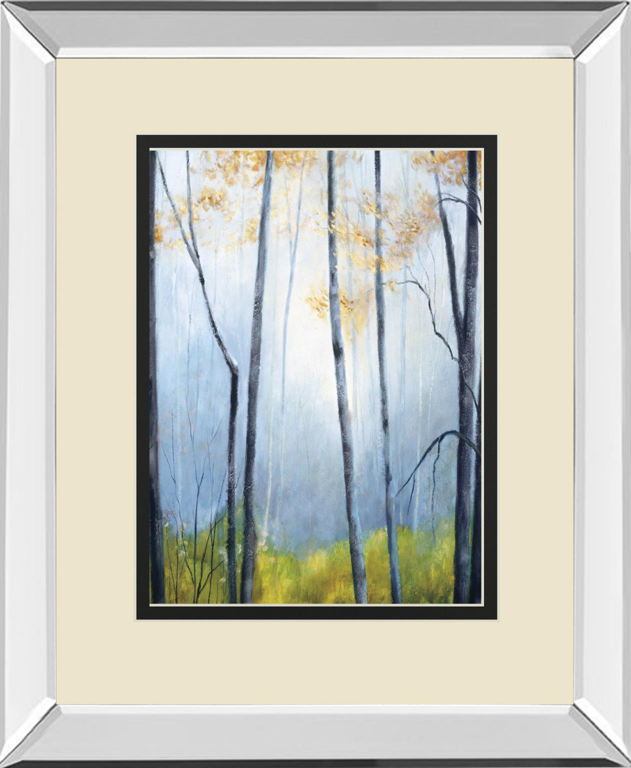 Tranquil River By Striffolino, R. 34X40 Mirror Frame Print