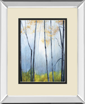 Tranquil River By Striffolino, R. 34X40 Mirror Frame Print
