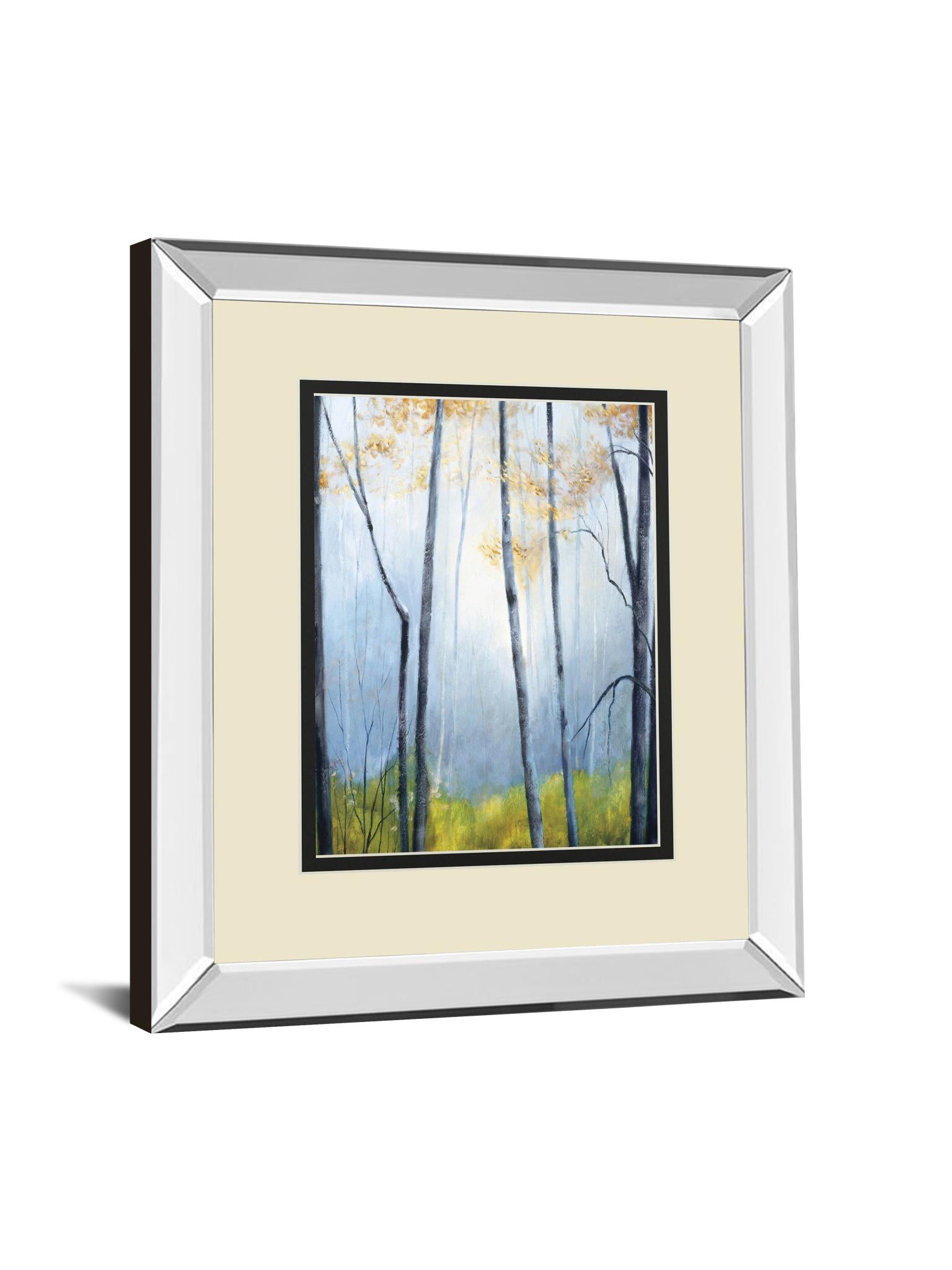 Tranquil River By Striffolino, R. 34X40 Mirror Frame Print