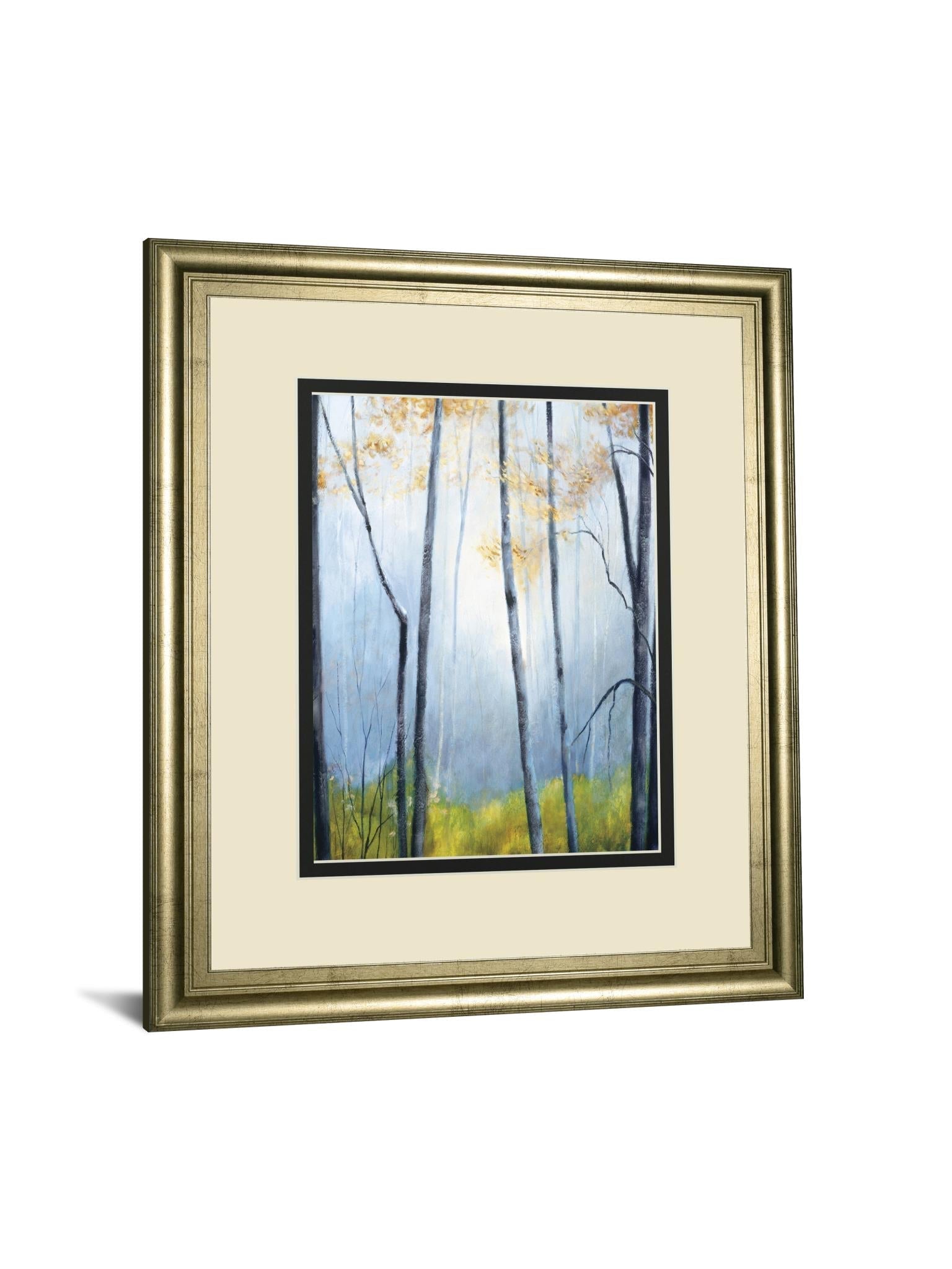 Tranquil River By Striffolino, R. 34X40 Framed Print