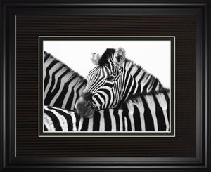A Safe Place By Papiorek 34X40 Framed Print