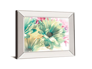 Color Full By Marie, D. 34X40 Mirror Frame Print