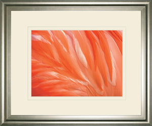Danza De La Pluna By Ortegam X. 34X40 Framed Print