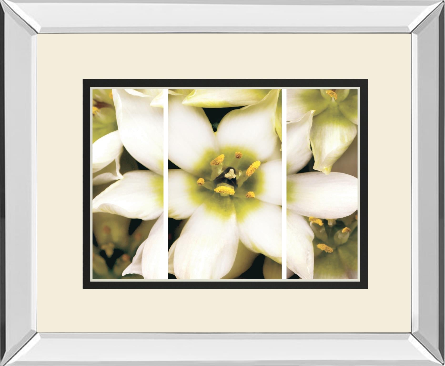 Star Of Bethlehem Triptych By Levine, A. 34X40 Mirror Frame Print
