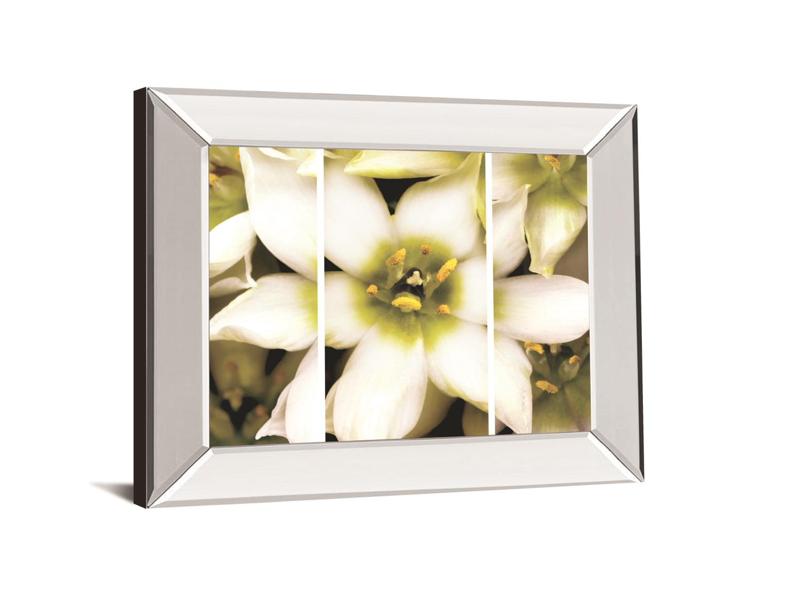 Star Of Bethlehem Triptych By Levine, A. 34X40 Mirror Frame Print