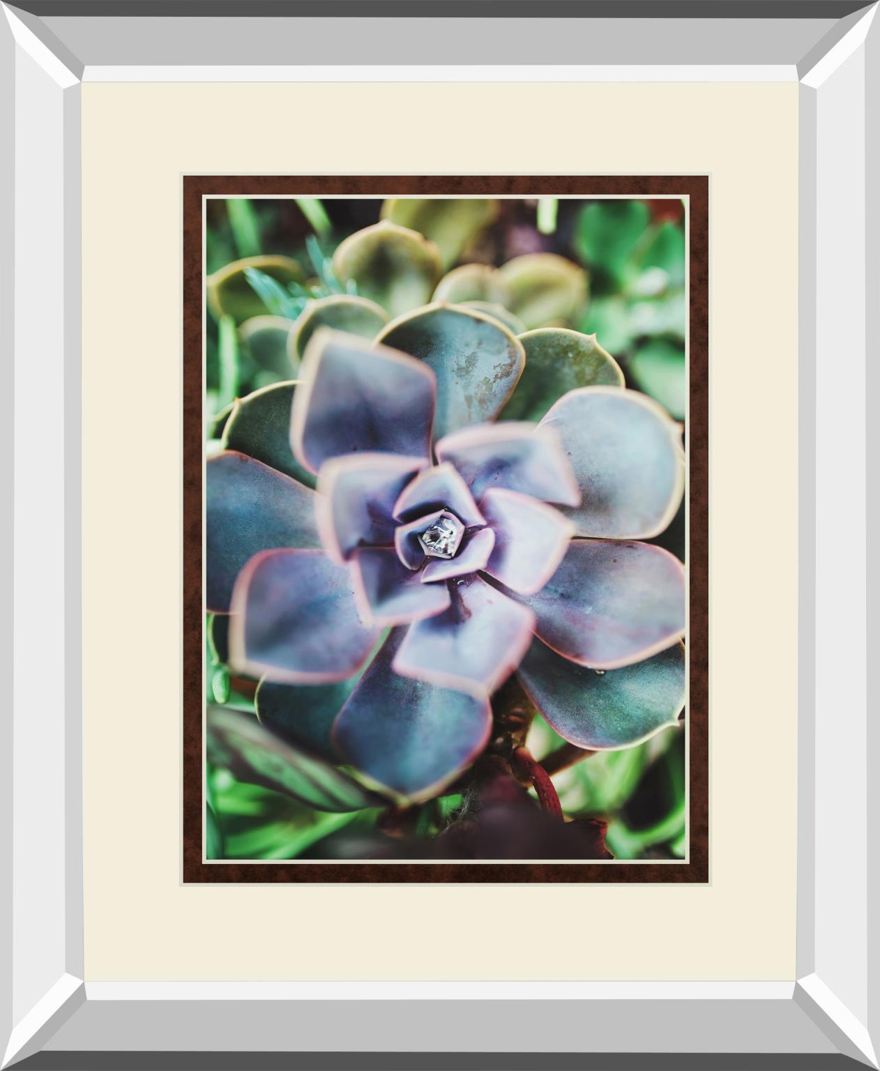 Succulence Beauty By Chelsea Kedron 34X40 Mirror Frame Print