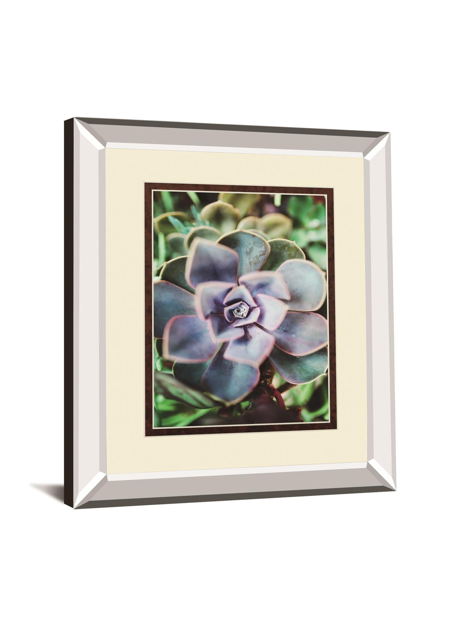 Succulence Beauty By Chelsea Kedron 34X40 Mirror Frame Print