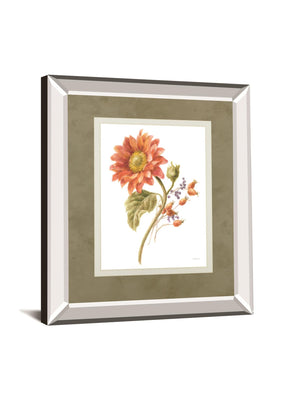 Floursack Autumn Ii On White By Danhui Nai 34X40 Mirror Frame Print