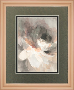 Abstract Peony By Danhui Nai 34X40 Framed Print