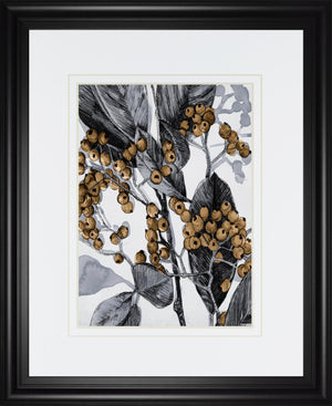 Holly Shadow Ii By Emma Caroline 34X40 Framed Print