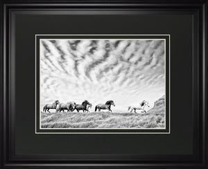 Horse Run Iii By Phburchett 34X40 Framed Print