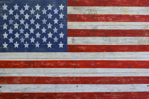 American Flag By Brandi Fitzgerald (Framed) Giclee Canvas