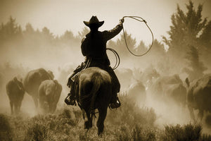 Rope And Ride By Danita Delimont (Framed) Giclee Canvas