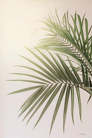 Sunkissed Palm By Jennifer Rigsby (Framed) Giclee Canvas