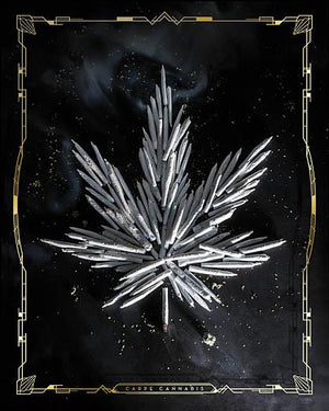Carpe Cannabis By Jg Studios (Framed) Giclee Canvas