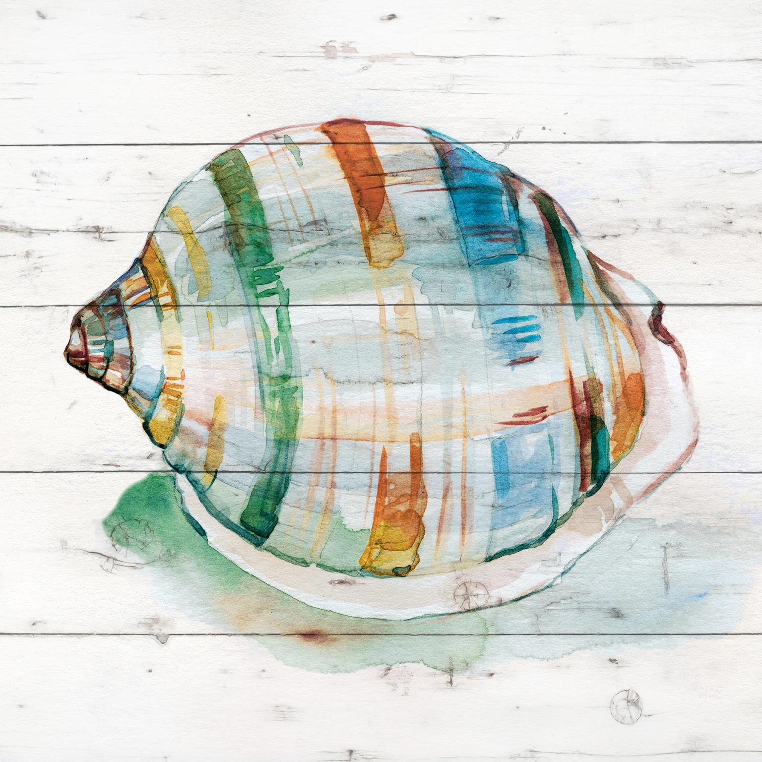 Tye Dyed Shell I By Carol Robinson (Small)(Framed) Giclee Canvas