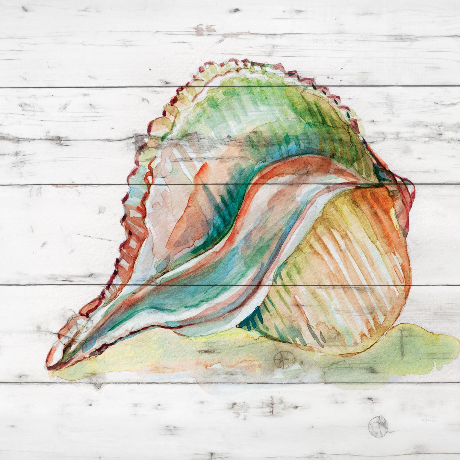 Tye Dyed Shell Ii By Carol Robinson (Small)(Framed) Giclee Canvas