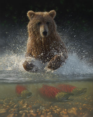 Lucky Hole By Collin Bogle (Small)(Framed) Giclee Canvas