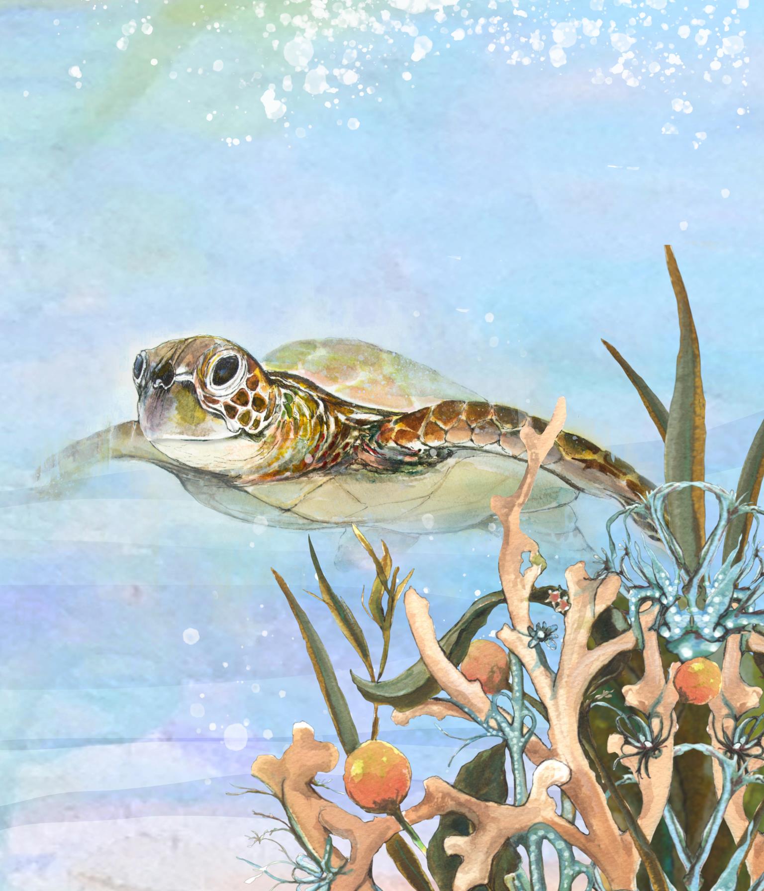 Turtle By The Reef Ii By Diannart (Framed)(Small) Giclee Canvas