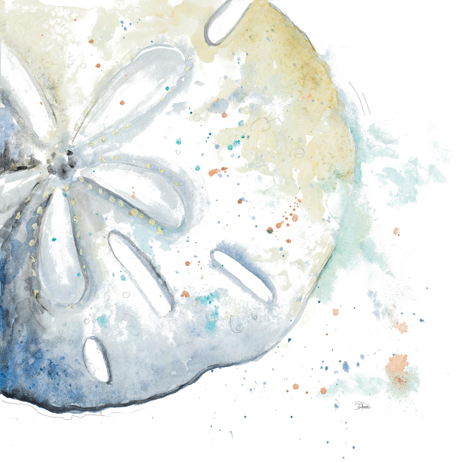 Water Sand Dollarpatriciapinto (Small) Giclee Canvas
