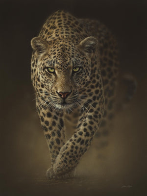 Leopard By Collin Bogle (Small) Giclee Canvas