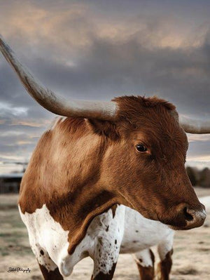 Profile Pose By Dakota Diener (Small) Giclee Canvas