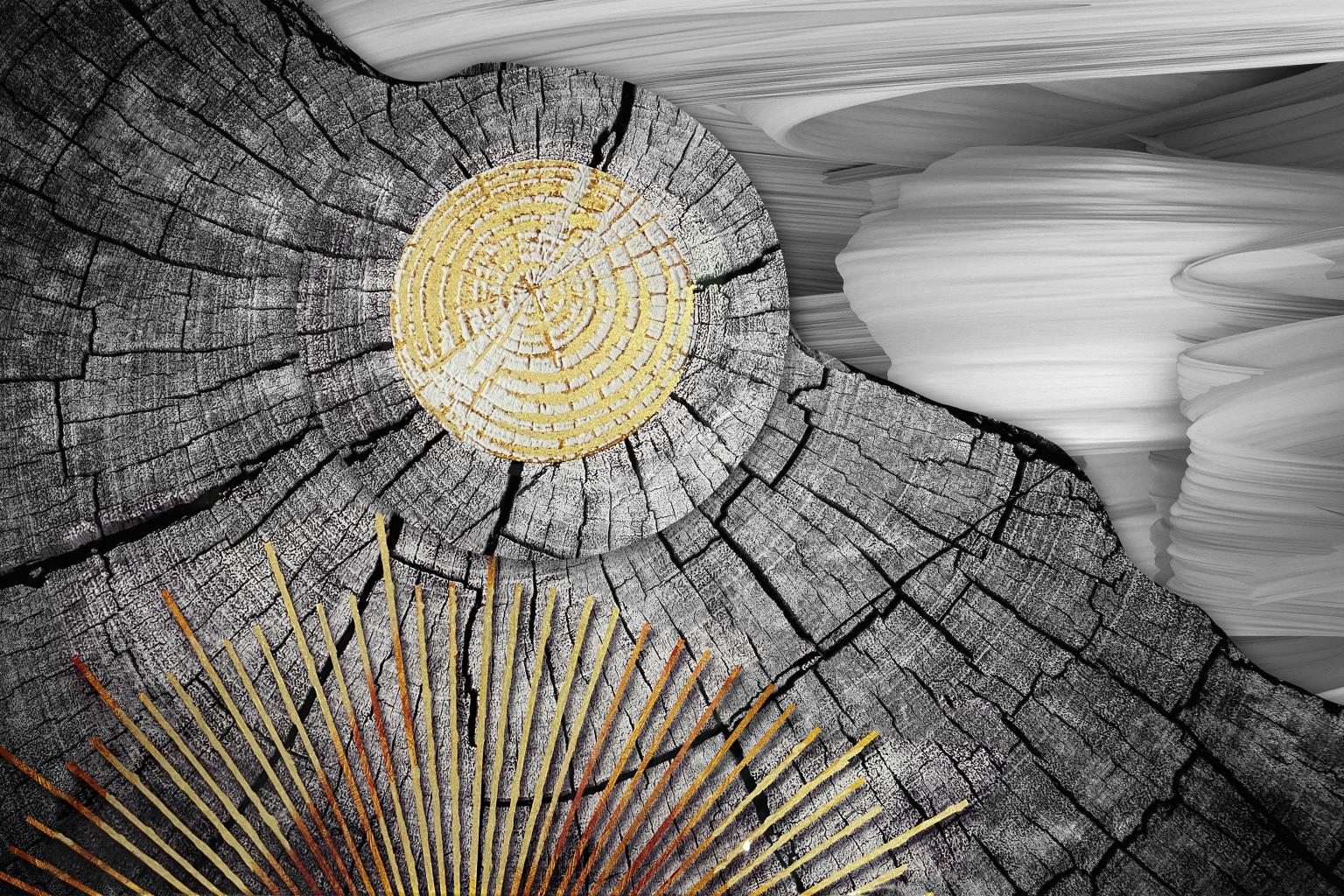 Tempered Glass W/ Foil - B&W With Gold Abstract Tempered Glass