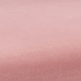 Kim Velvet Chair in Blush