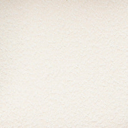 Betsy Cream Performance Boucle Dining Chair