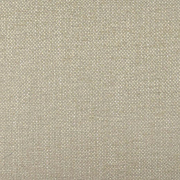 Tiara Cream Performance Basketweave Fabric Dining Chair