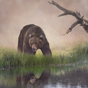Print On Canvas Curated Canvas