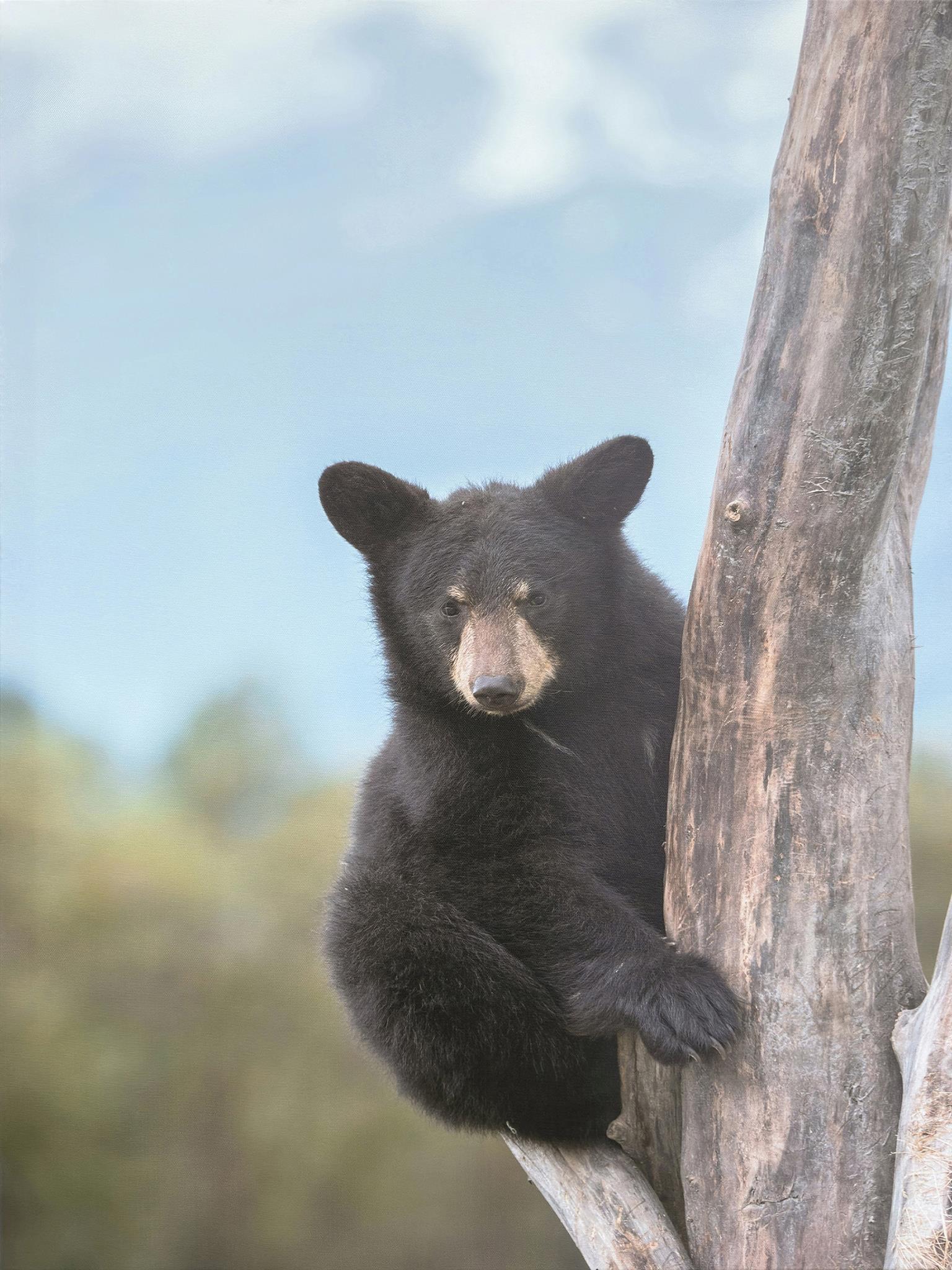 Print On Canvas Curated Canvas