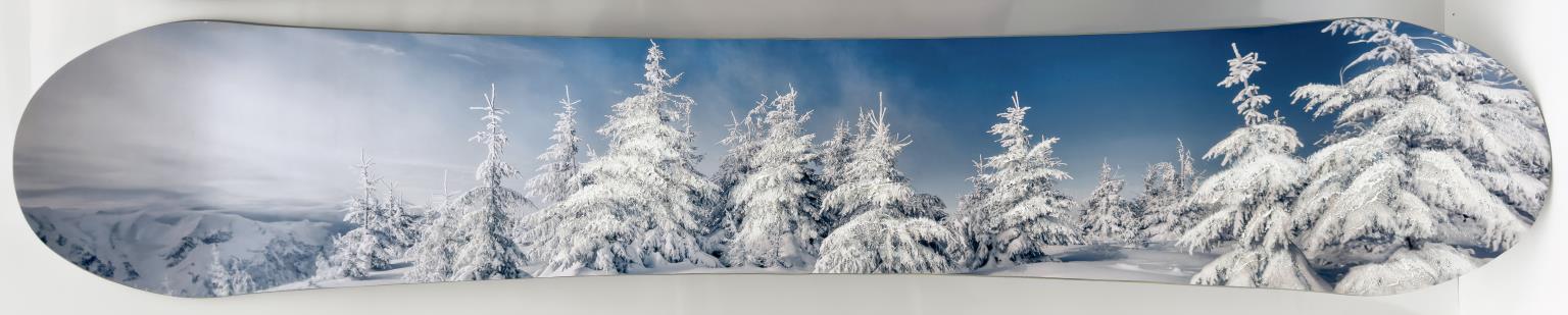 Snowboard - Snow Trees Mixed Media