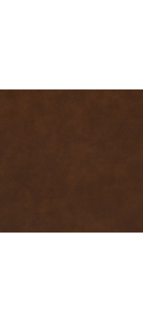 Backtrack Sofa and Loveseat