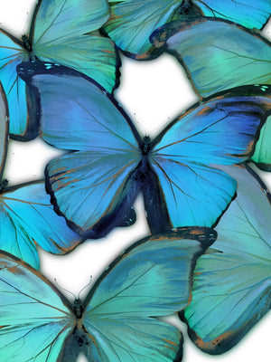Gallery Wrapped Giclee On Canvas Curated Canvas