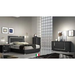 Antonella Collection (Black)