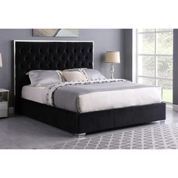 B600 Rose (Black) 55"H
