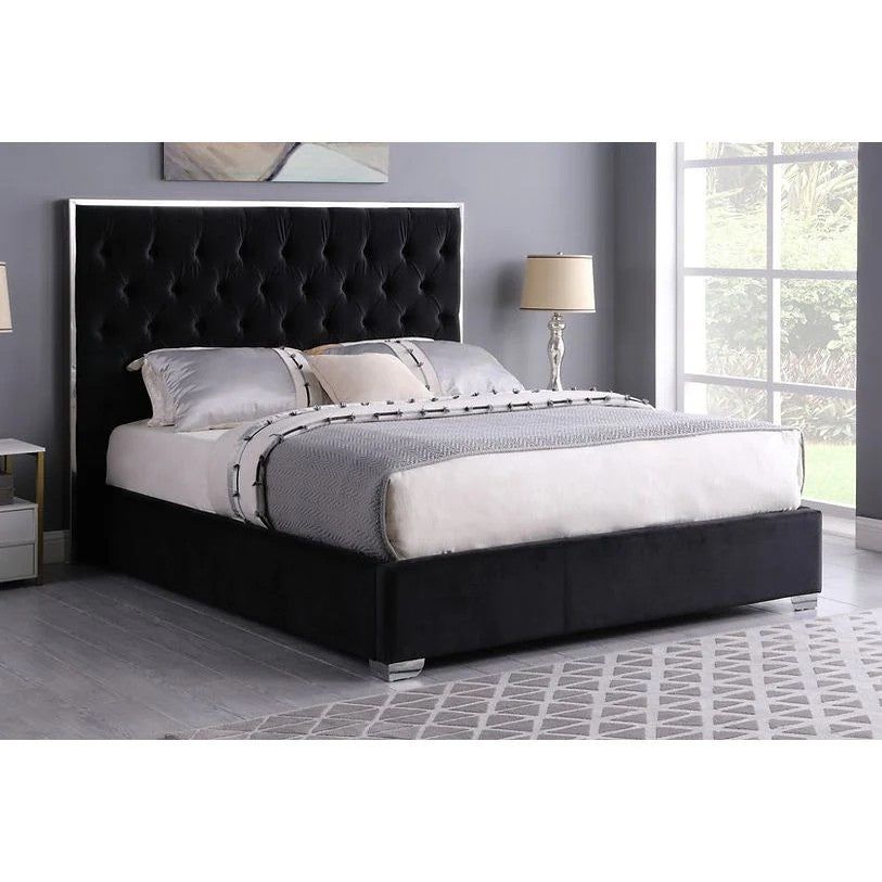 B600 Rose (Black) 55"H