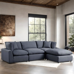 SKY Modular Sectional โ FREE TV or Area Rug!